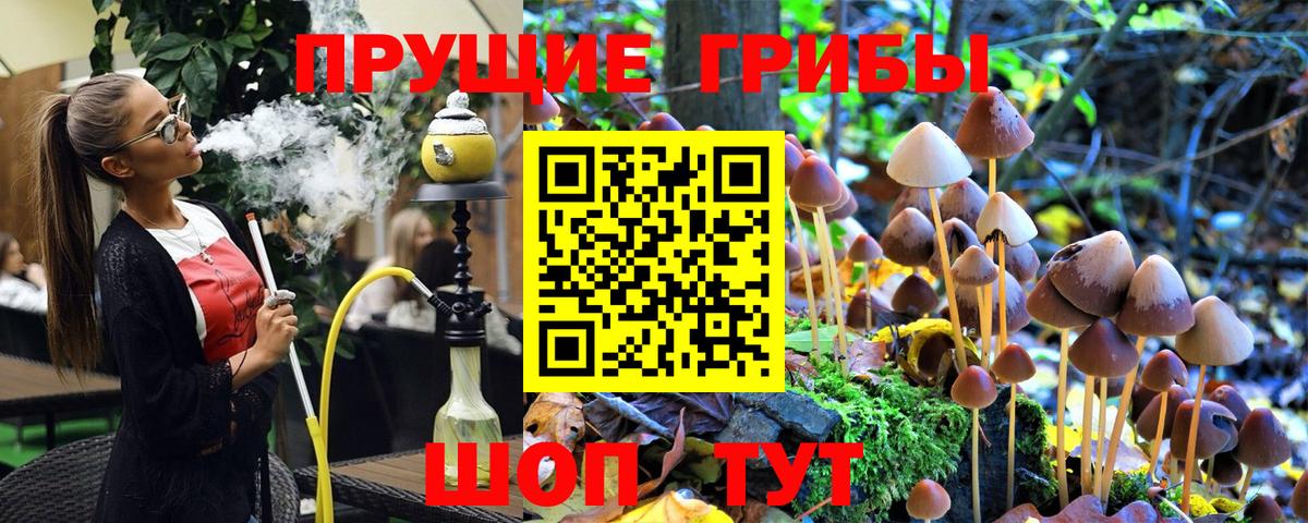 Киселёвск  Галлюциногенные грибы прущие грибы  закладка  Вход с VPN 